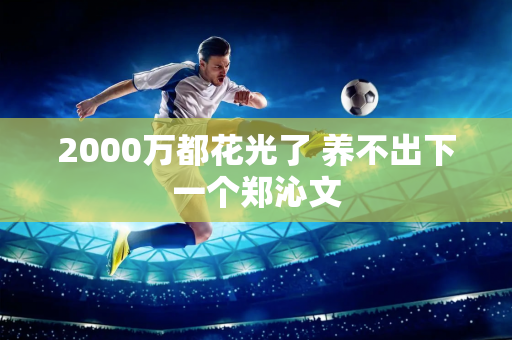 2000万都花光了 养不出下一个郑沁文