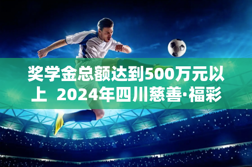 奖学金总额达到500万元以上  2024年四川慈善·福彩助学活动已完成审核