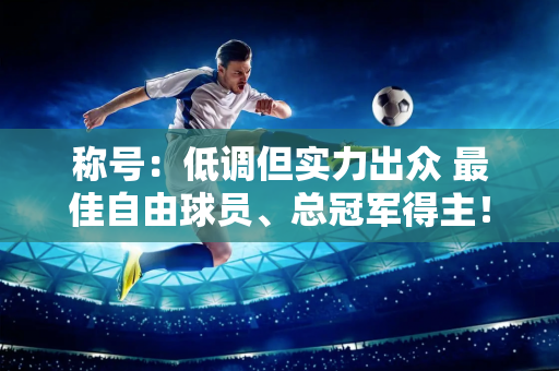 称号：低调但实力出众 最佳自由球员、总冠军得主！但退休后他并没有进入985